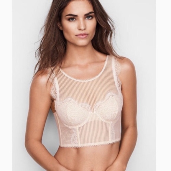 VS Floral Lace Striped Bustier High-neck Bra Top - Picture 3 of 8